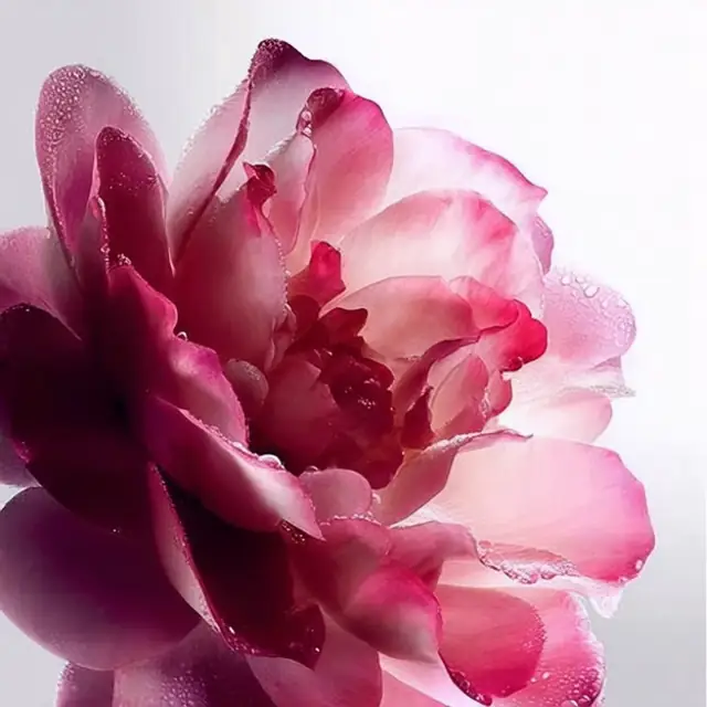 Example 22